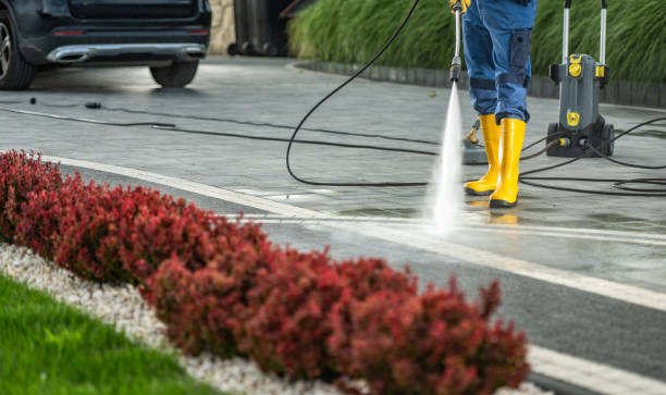 Best Roof Cleaning and Mildew Removal in Moraine, OH